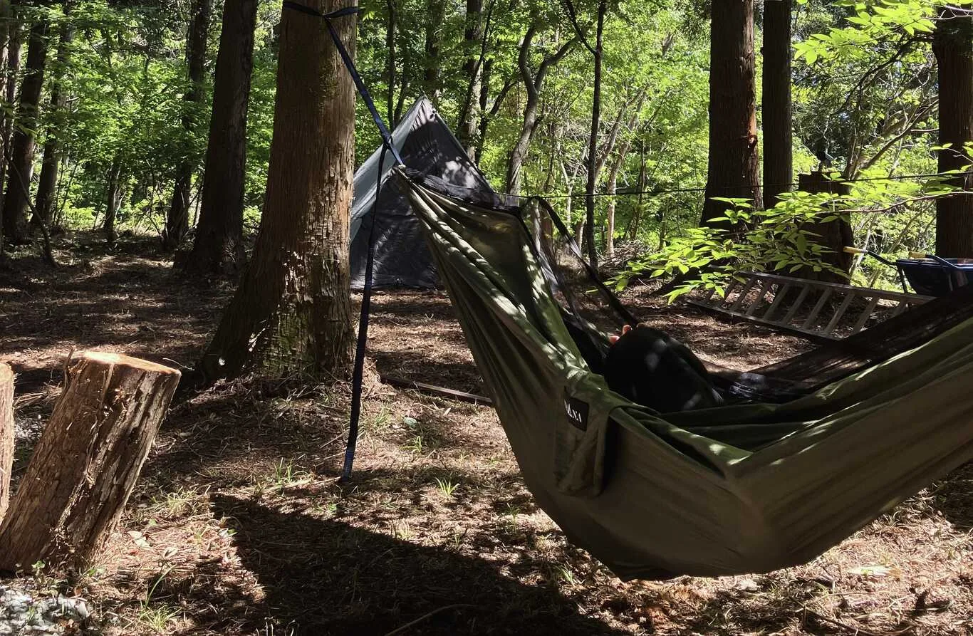 Wolves Forest Outdoor Private Camping