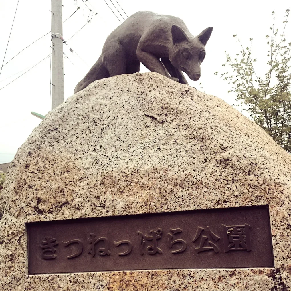 Kitsuneppara Park Kodomo Campground